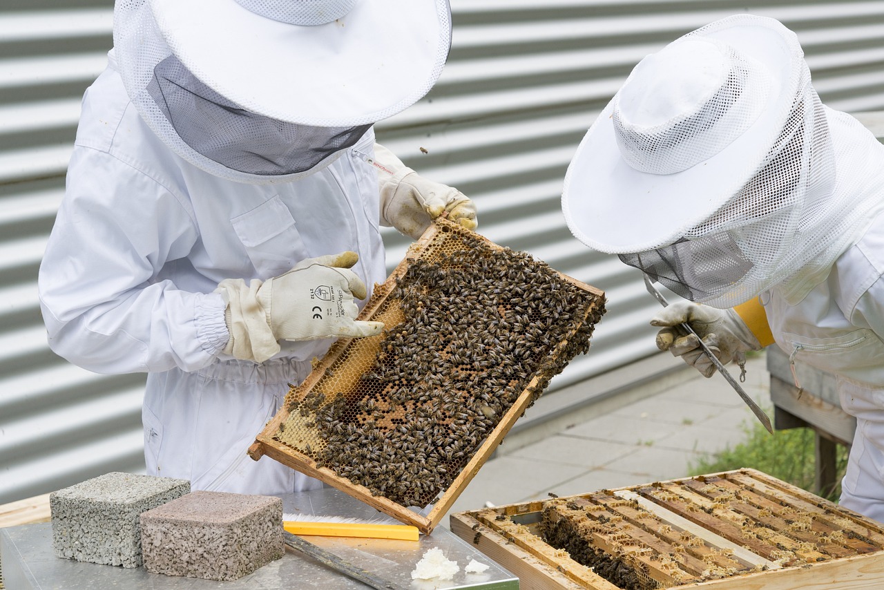 the_buzzing_barn_com-shop